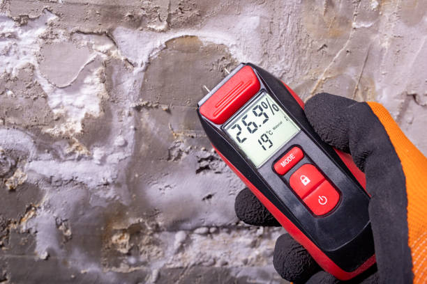 Best Toxic Mold Removal  in Crescent Springs, KY