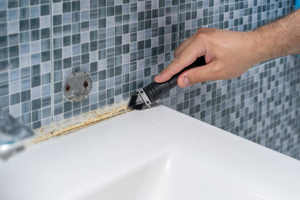 Best Mold Remediation  in Crescent Springs, KY